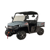 NP UTV250-2