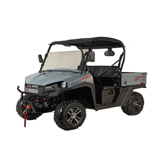 NP UTV250-2